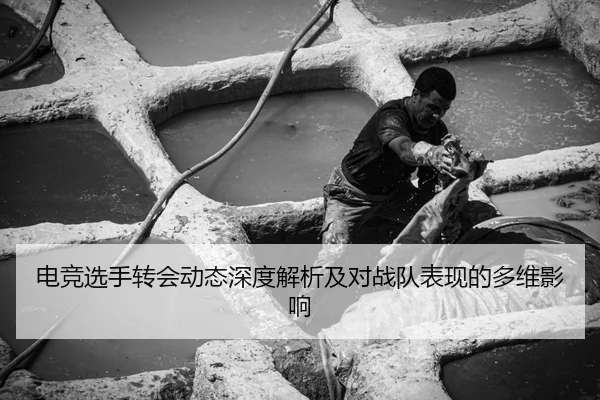 电竞选手转会动态深度解析及对战队表现的多维影响